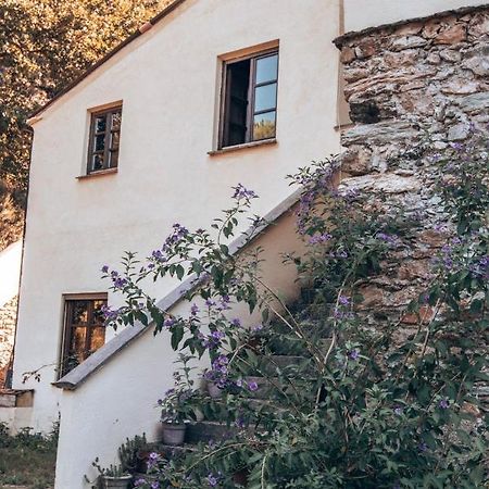 Le Petit Chateau Vezzi Portio Exterior photo